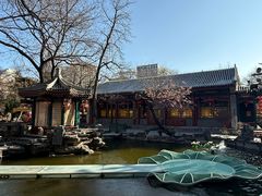 -白家大院·王府宫廷菜(苏州街店)