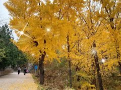 -阳台山自然风景区