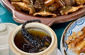 Scorpion King Ganoderma Stewed Turtle