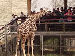 石家庄动物园-石家庄市动物园
