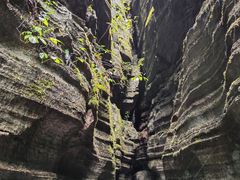 -梭布垭石林景区