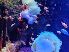 -沈阳海洋探索中心