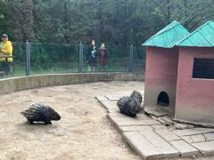 -青藏高原野生动物园