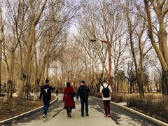 -长春公园(普阳街道)