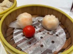-潮江春(阳光店)