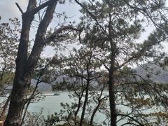 -羚羊峡古栈道森林公园