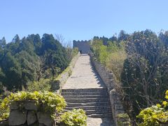 -原山国家森林公园