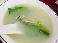 杂鱼汤-蛇口康乐快餐鱼仔档(翠苑小区店)