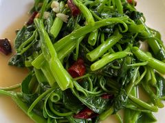 -晓雯人家