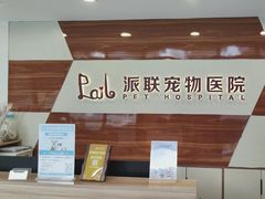 -派联宠物医院·24h·CT·异宠