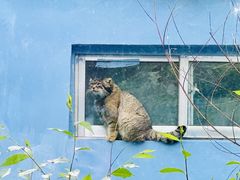 -青藏高原野生动物园