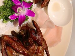 -新加坡泰园村酒楼直营(新华路店)