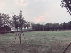 -南湖湿地公园