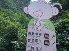 -南海湾森林生态园