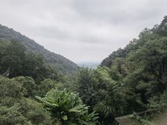 -韬光茶庵