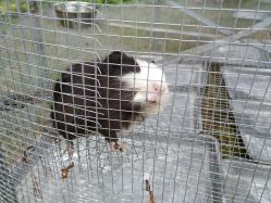 -萌宠亲子动物乐园(槐房万达店)