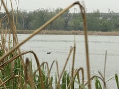 -绿堤公园