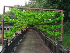 -石燕湖生态旅游景区