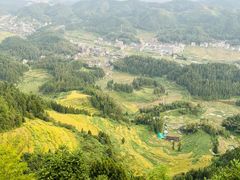 -紫鹊界梯田景区
