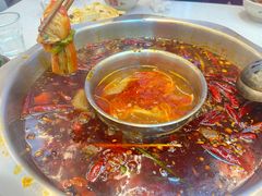 -青年火锅(吾悦广场直营店)