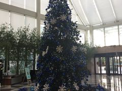 -三亚福朋喜来登酒店·大堂吧