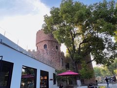 -J Create城市露营咖啡·简餐·宠物(上海动物园店)