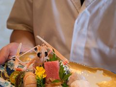 -四葉寿司(免税二期店)