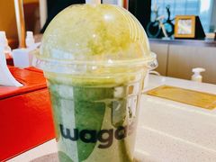 大力水手-Wagas沃歌斯(富力广场店)