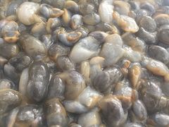 -吕四渔港码头海鲜餐厅