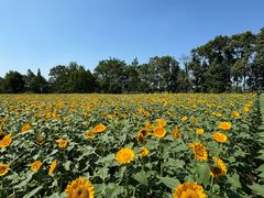 -中国天府农业博览园