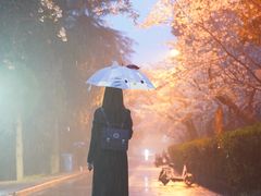 -武汉大学-樱园