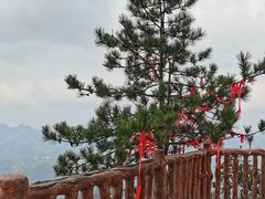 -塔云山