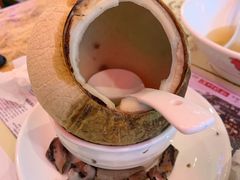 椰皇炖乌鸡-陈鹏鹏潮汕菜(宝安机场T3航站楼店)