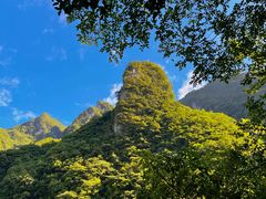 -武陵山森林公园