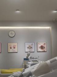 -洗脸猫·洗脸吧