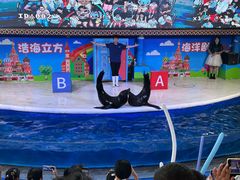 -成都浩海立方海洋公园