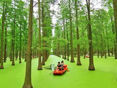 -渌洋湖湿地公园