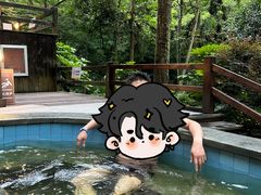 -宁海森林温泉