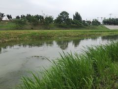 -东坝千亩湖公园