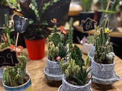 -豆豆花艺(新光天地店)