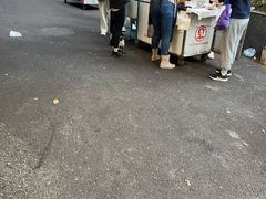 -六广门毛阿姨糯米饭