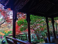 -秋霞圃