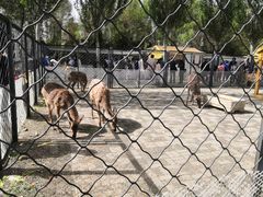 -长白岛森林公园