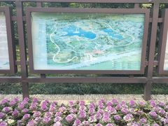 -新洲生态园