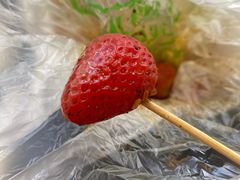 -雪儿钱局泡菜