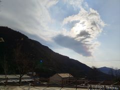 -王顺山国家森林公园