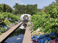 -深圳仙湖植物园