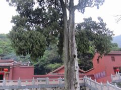 -灵光寺