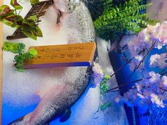 -文三酒肆自助放题(新街口友谊广场店)