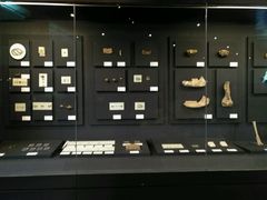 -北京周口店北京人遗址博物馆